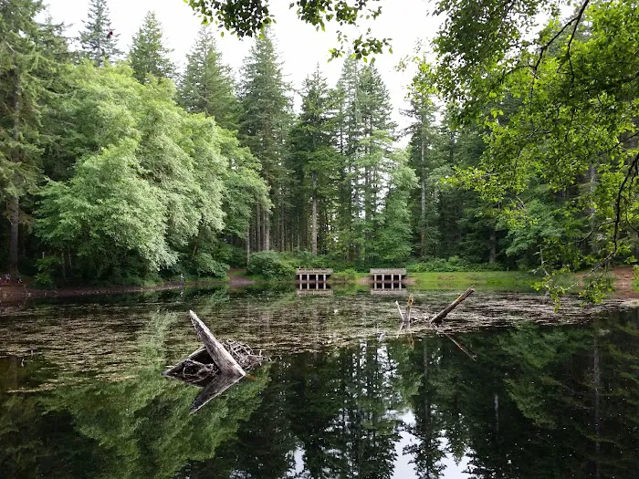 Hebo Lake Campground Picture 3