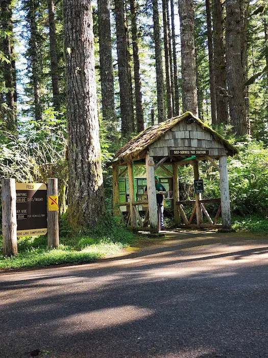 Hebo Lake Campground Picture 6