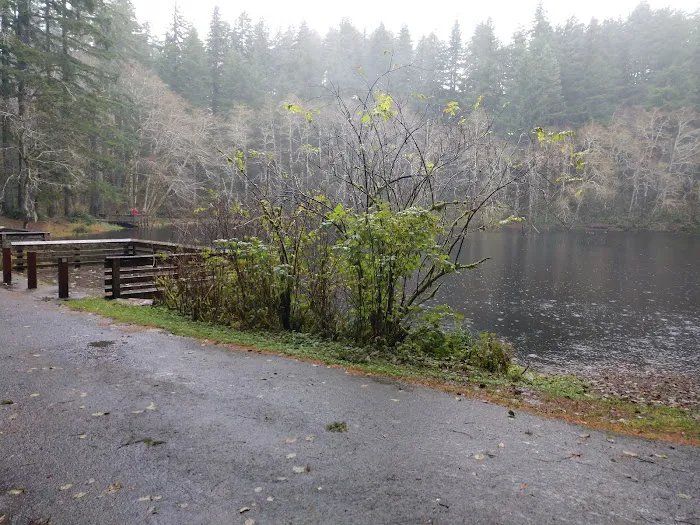 Hebo Lake Campground Picture 4