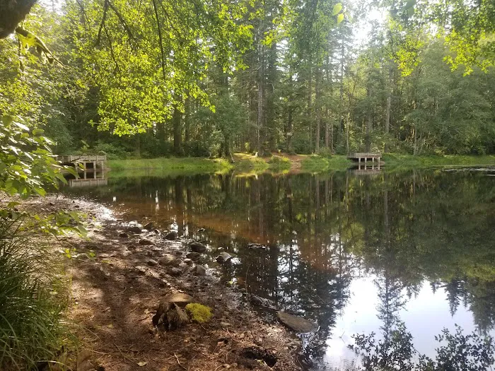 Hebo Lake Campground Picture 2