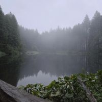 South lake ico