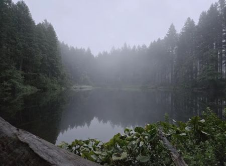 South lake
