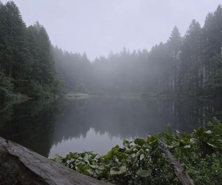 South lake