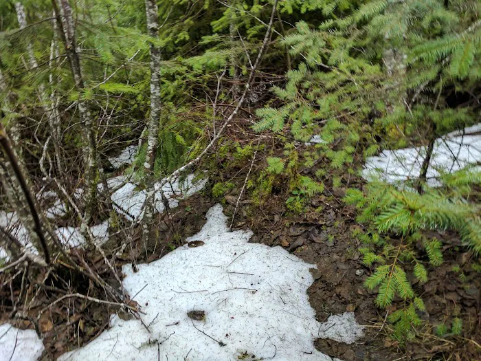 South Lake Dispersed Area Picture 2