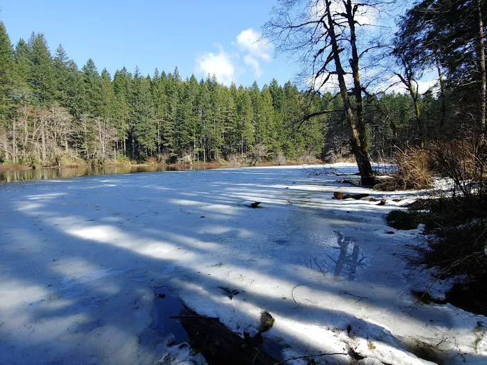 South Lake Dispersed Area Picture 5