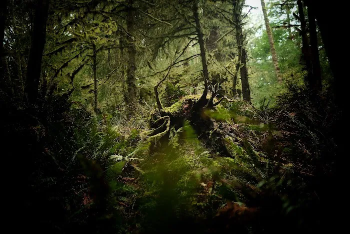 Hiker's Camp Picture 1