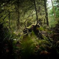 Hiker's Camp ico