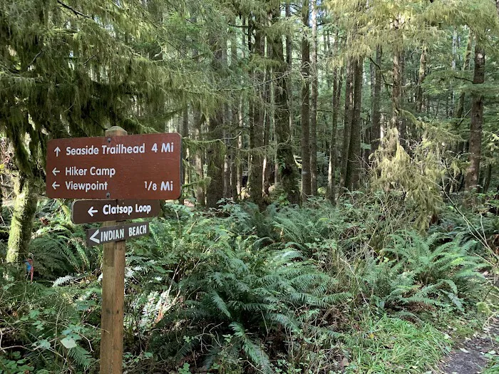 Hiker's Camp Picture 9