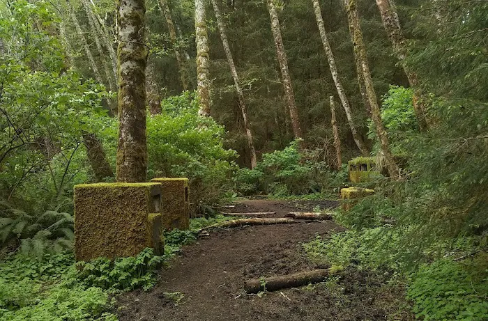 Hiker's Camp Picture 6