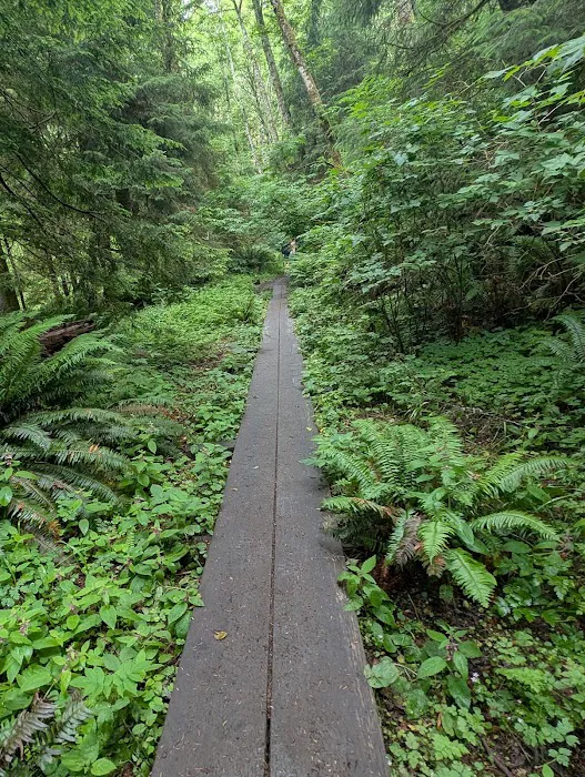 Hiker's Camp Picture 8