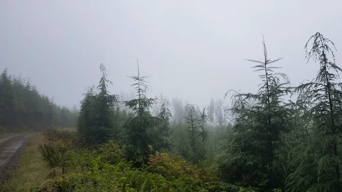 Western Lake Campground Picture 5