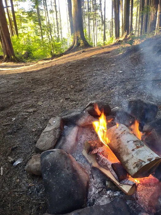 Western Lake Campground Picture 6