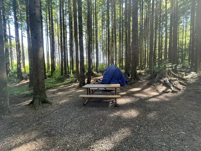 Western Lake Campground Picture 1