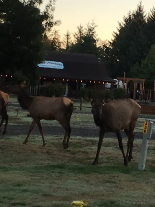 Astoria / Warrenton / Seaside KOA Resort Picture 6