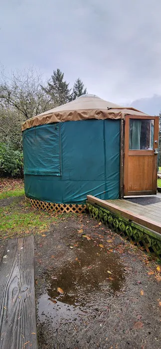 Yurt Village Picture 3