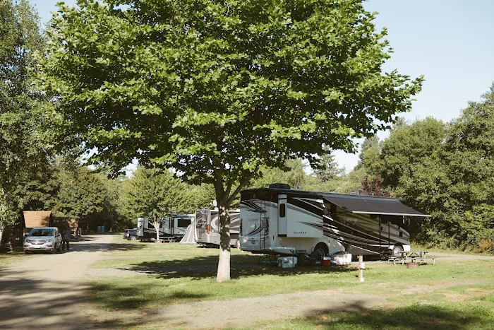 Wallicut River RV and Campground Resort Picture 9
