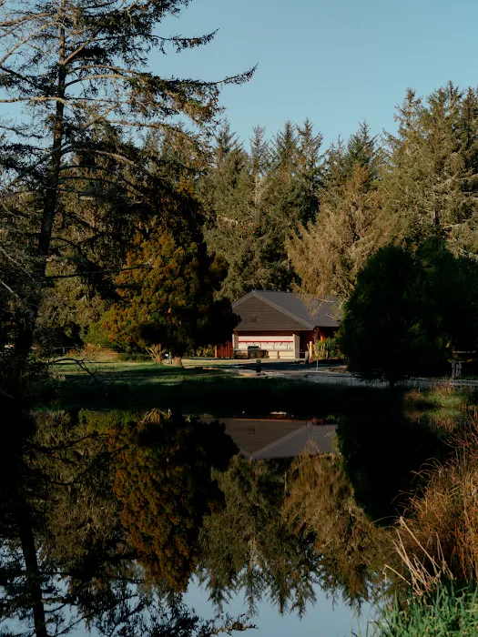 Snow Peak Campfield: Long Beach Picture 9