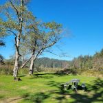 Campground D