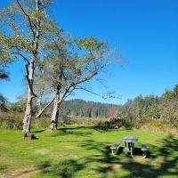Campground D ico