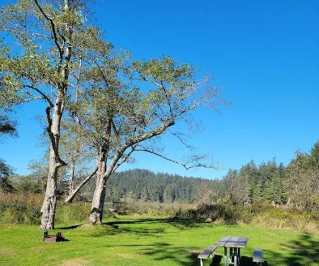 Campground D