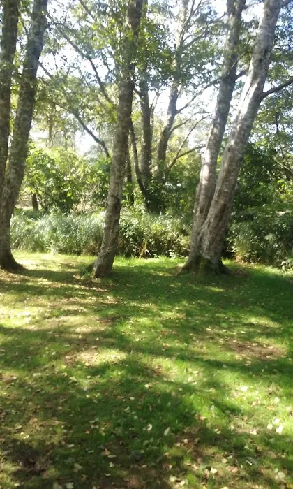 Campground D Picture 8