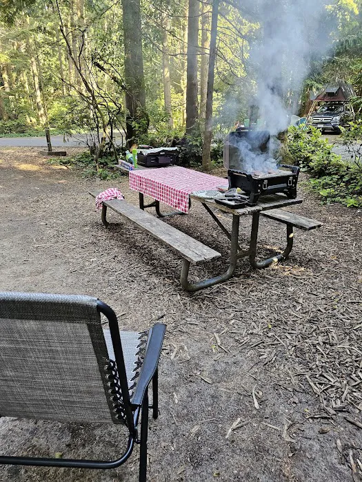 Cape Lookout State Park Campground Picture 1