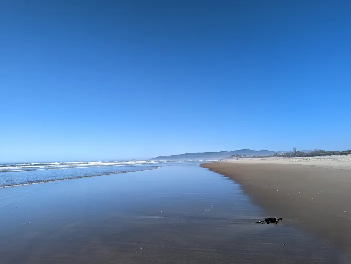 Cape Lookout State Park Campground Picture 8