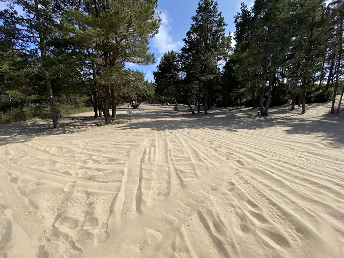 Derrick Road Dispersed Camping Area Picture 2