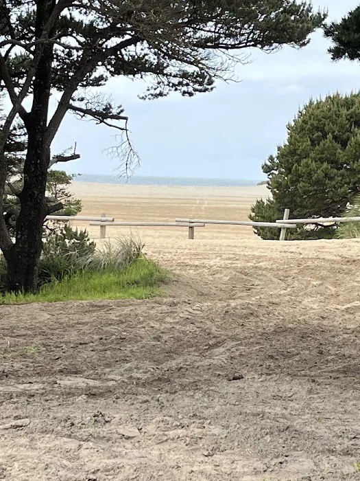 East Dunes Campground Picture 10