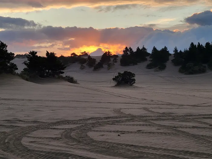 East Dunes Campground Picture 9