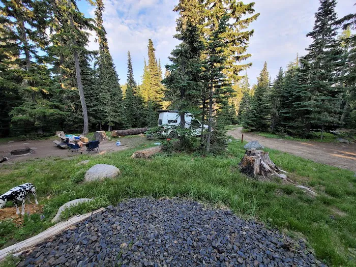 Bonney Meadow Campground Picture 10
