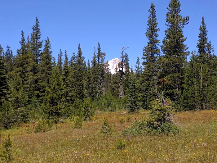 Bonney Meadow Campground Picture 6