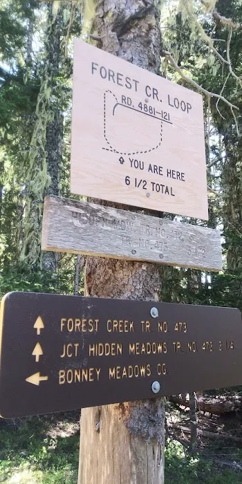 Boulder Lake Campground Picture 1