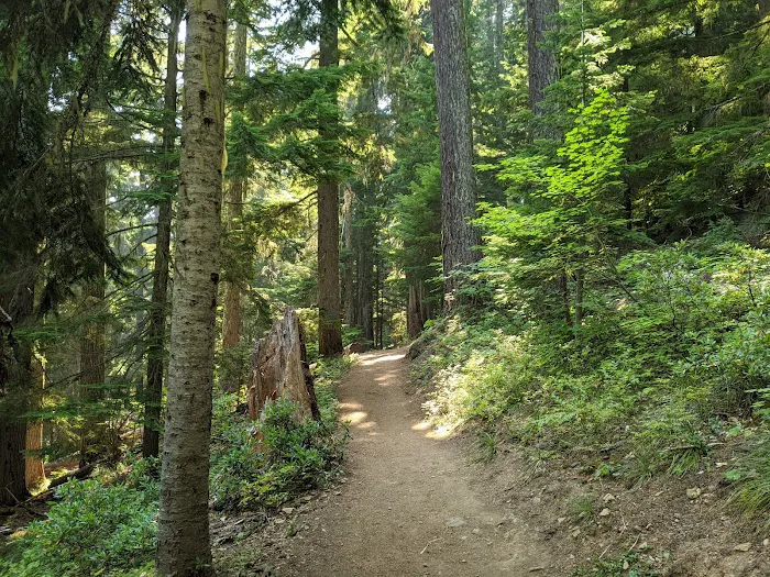 Lower Twin Campground Picture 2
