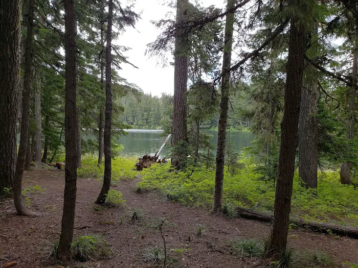 Lower Twin Campground Picture 7