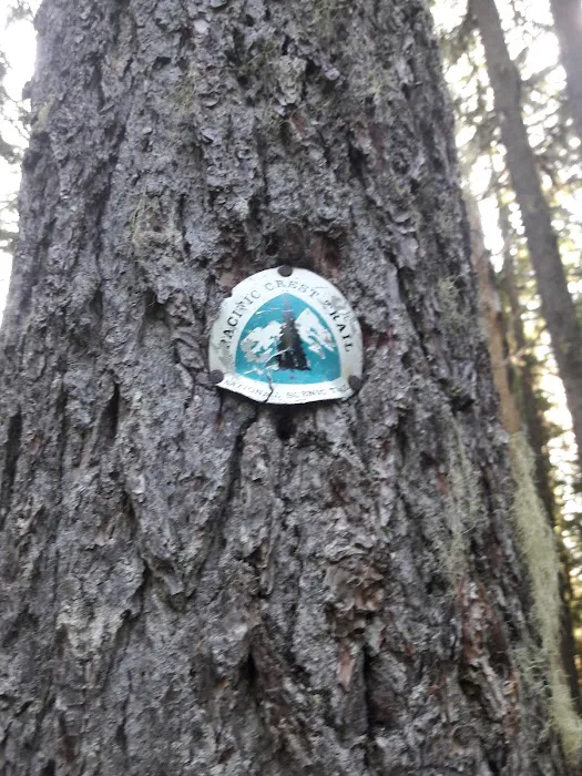 Frog Lake Campground Picture 4