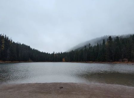 Frog Lake Campground