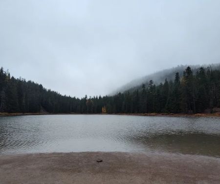 Frog Lake Campground