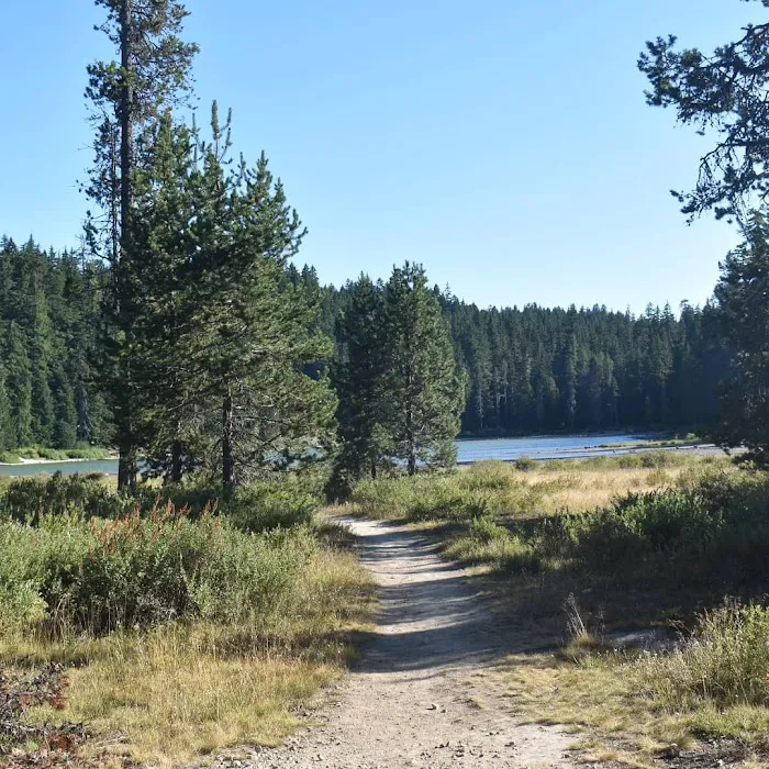Frog Lake Campground Picture 5