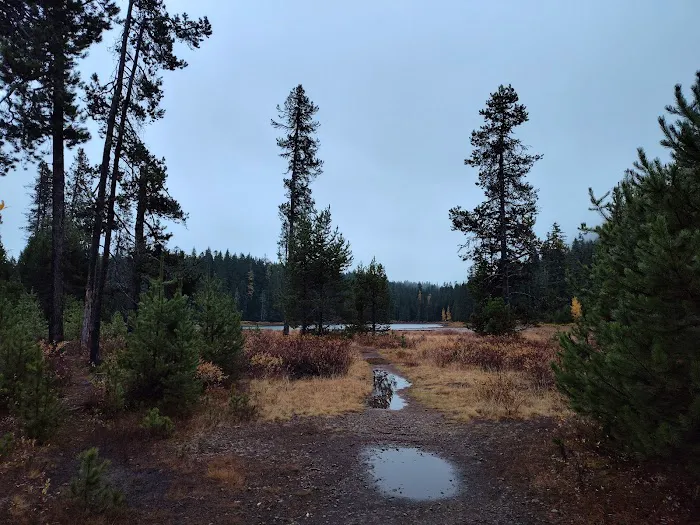 Frog Lake Campground Picture 8