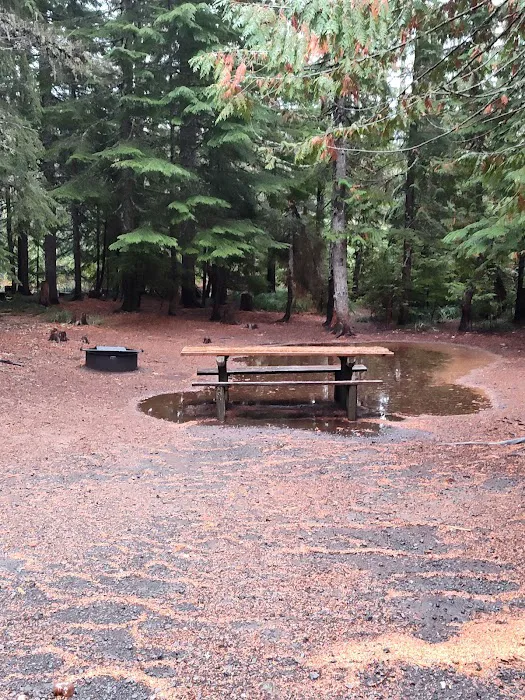Frog Lake Campground Picture 9