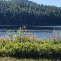 Lost Lake Group Campground ico
