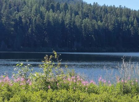 Lost Lake Group Campground