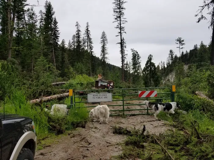 Beaver Lake Campground Picture 7
