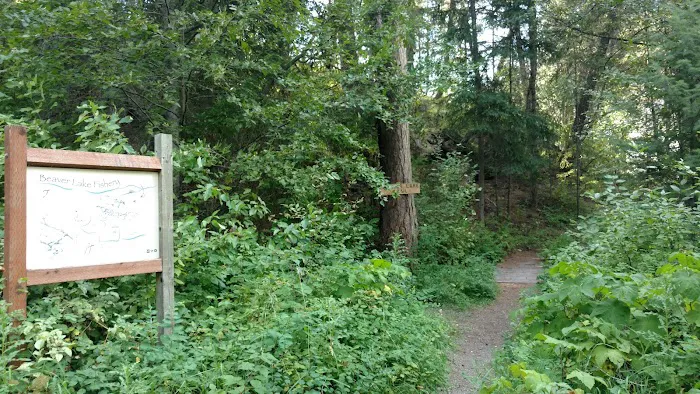 Beaver Lake Campground Picture 9