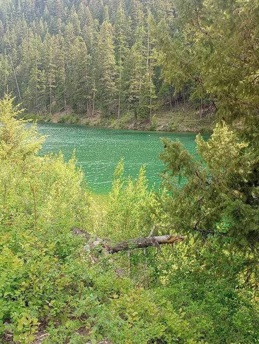 Beaver Lake Campground Picture 5