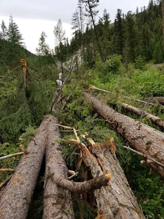 Beaver Lake Campground Picture 6