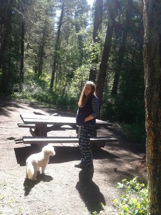 Beth Lake Campground Picture 9