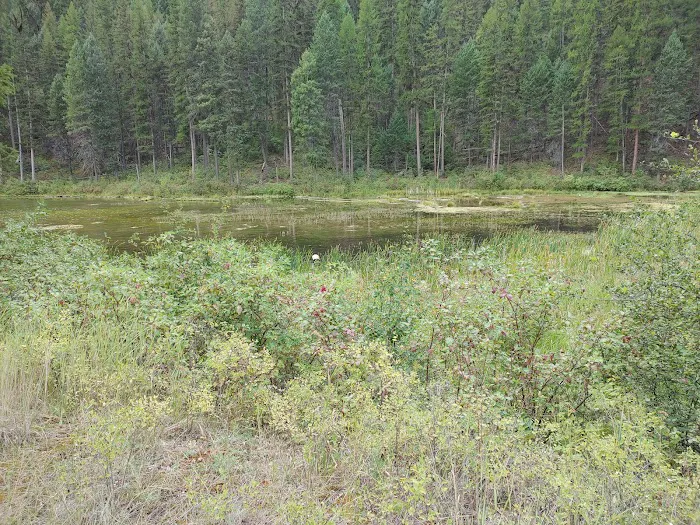 Beth Lake Campground Picture 2