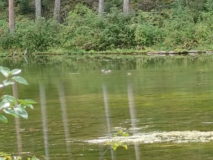 Beth Lake Campground Picture 1